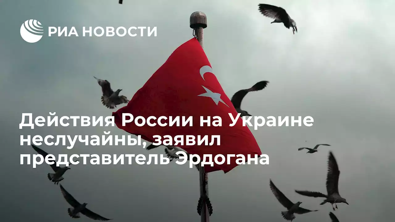 Действия России на Украине неслучайны, заявил представитель Эрдогана