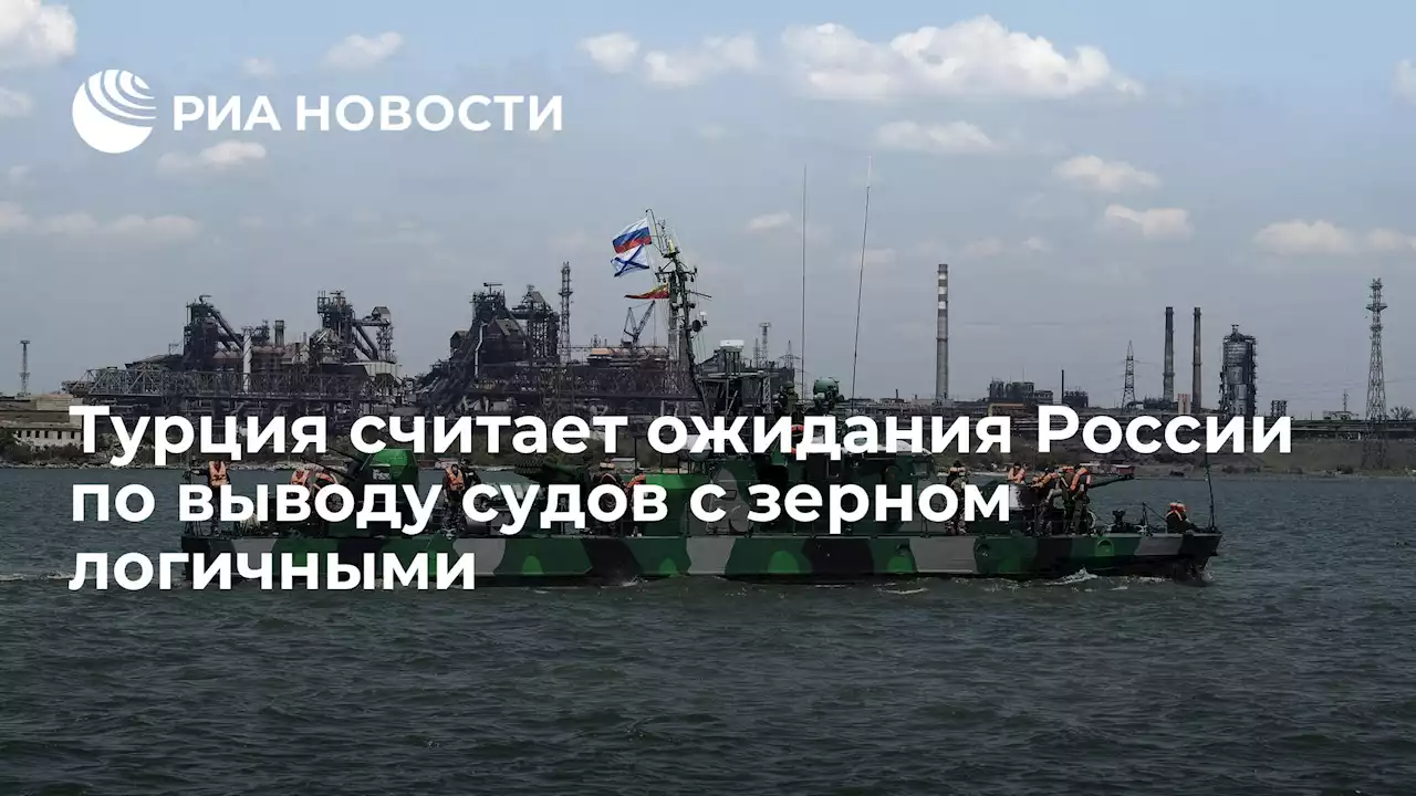Турция считает ожидания России по выводу судов с зерном логичными