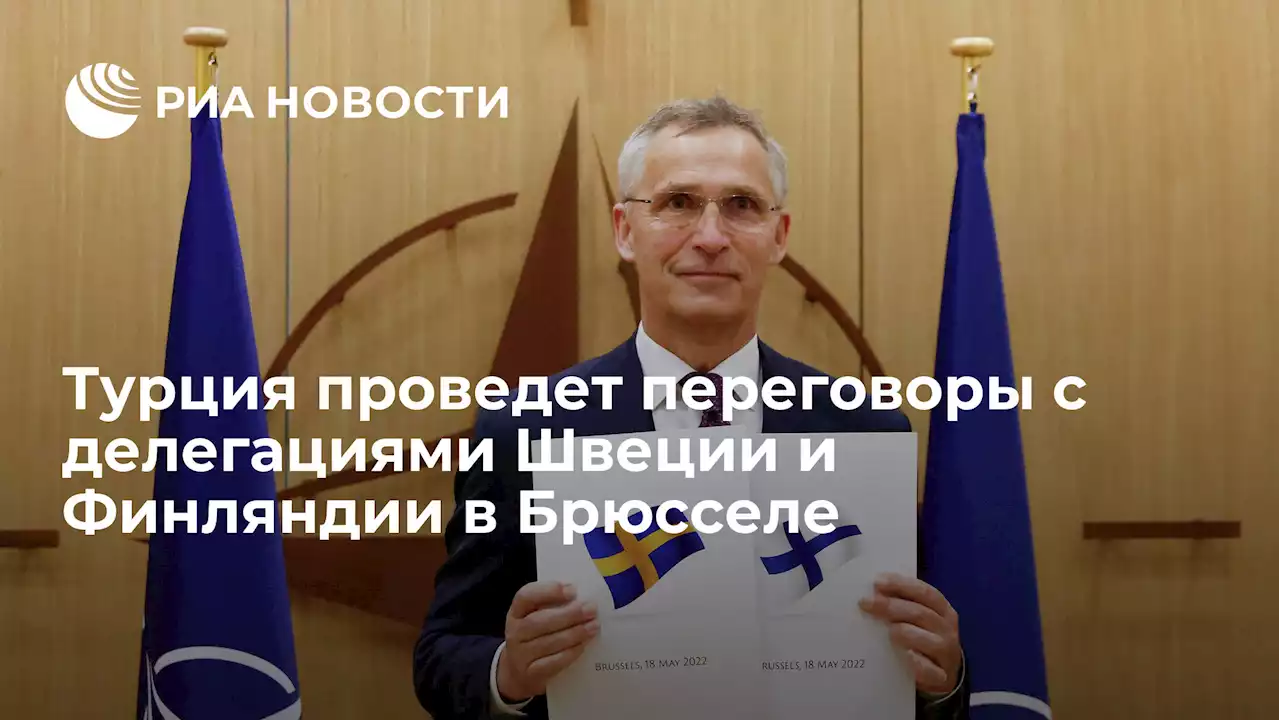 Турция проведет переговоры с делегациями Швеции и Финляндии в Брюсселе