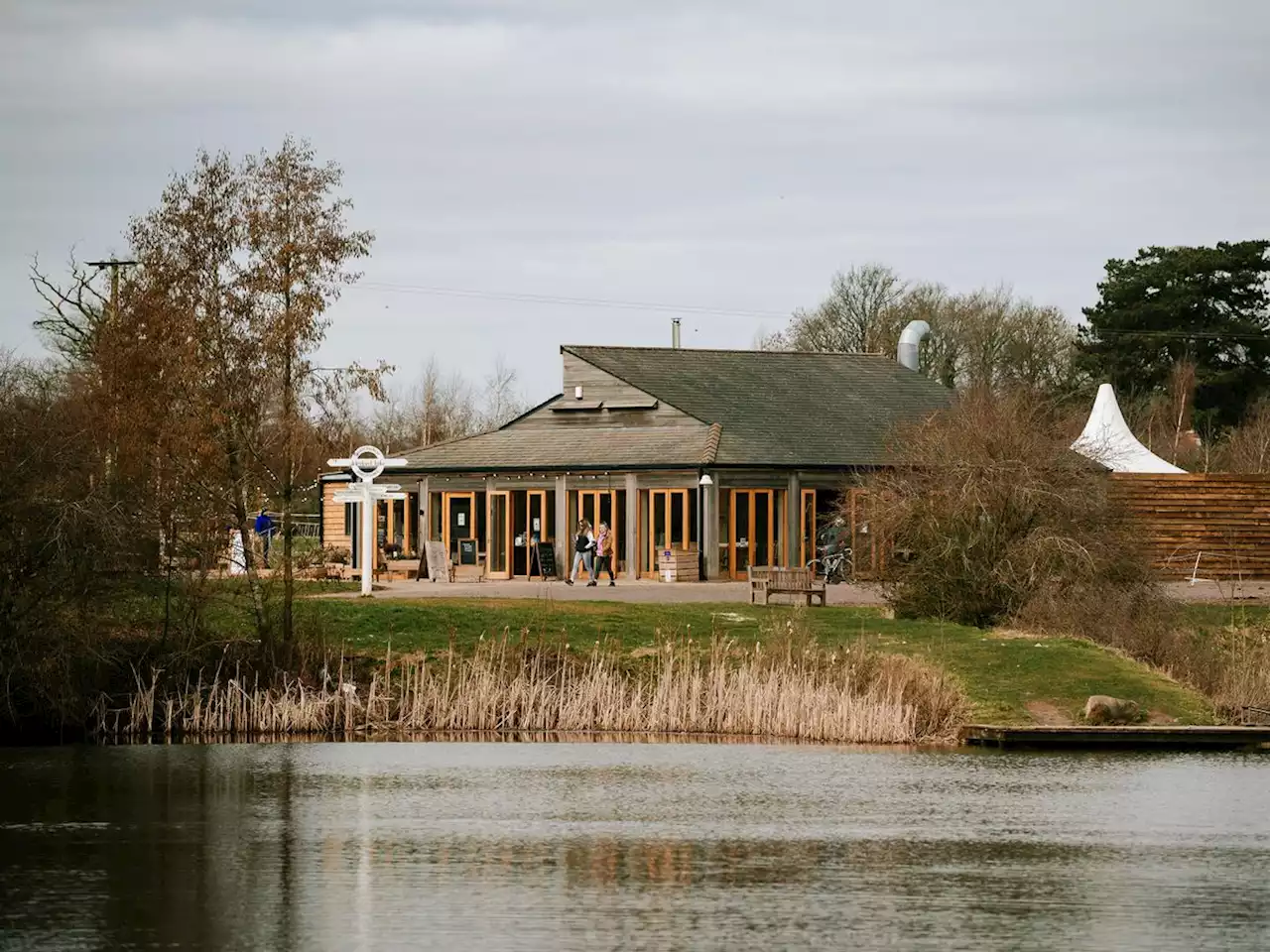 Outdoor swimming venue Alderford Lake forced to close by algae outbreak