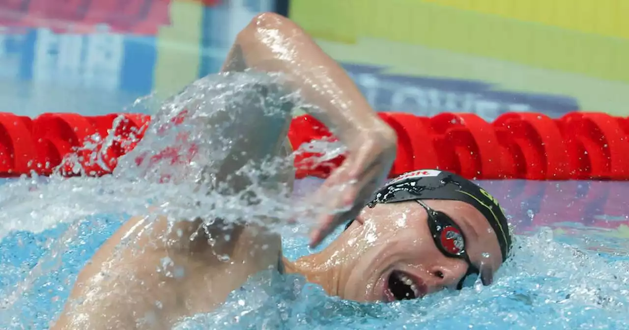 Schwimm-WM: Florian Wellbrock fliegt zu Gold