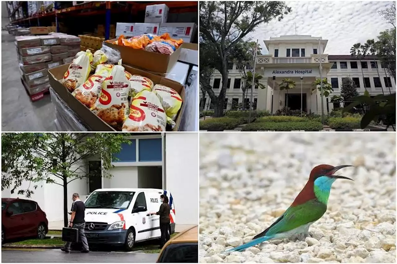 Morning Briefing: Top stories from The Straits Times on June 26