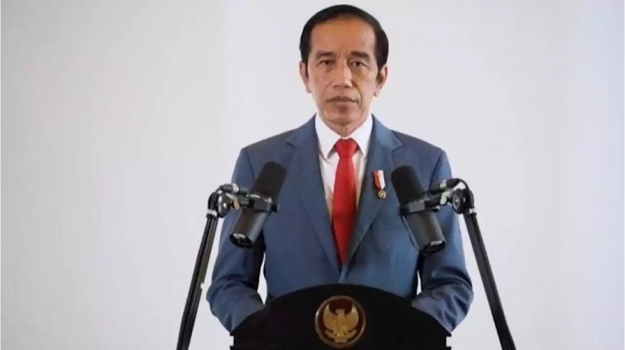 Temui Putin dan Zelensky, Ini 4 'Bekal' Jokowi Buat Setop Perang Rusia-Ukraina