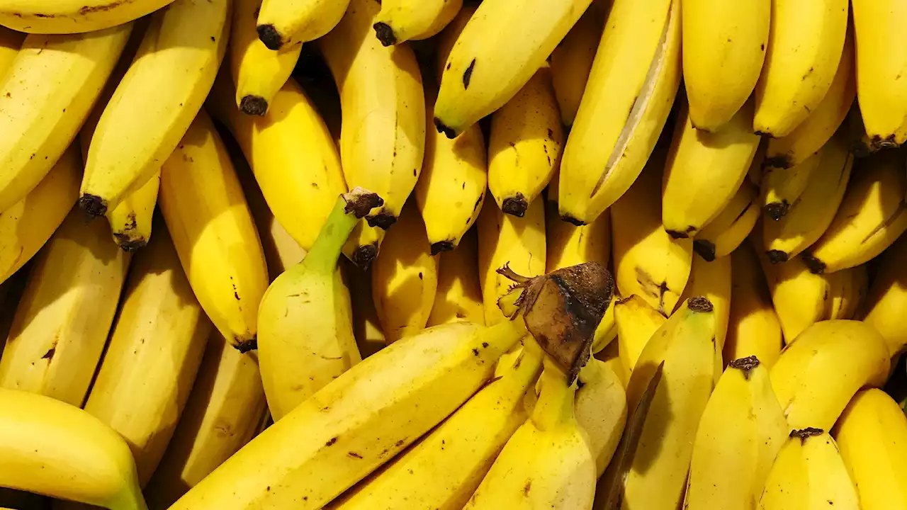 I'm a home expert - 5 surprising uses for banana peel