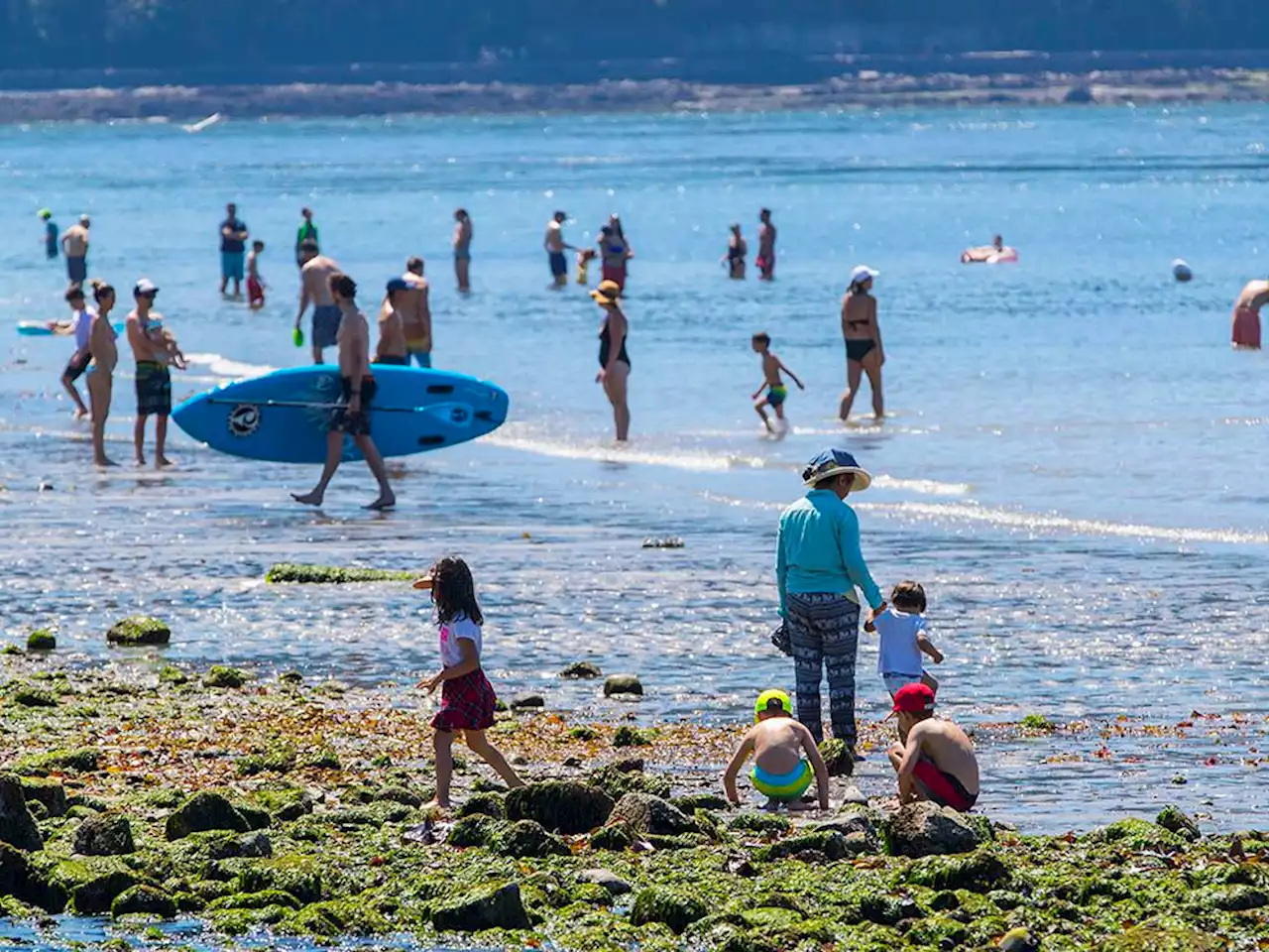 B.C. heat wave: Warning in effect Sunday and Monday for Metro Vancouver, Fraser Valley