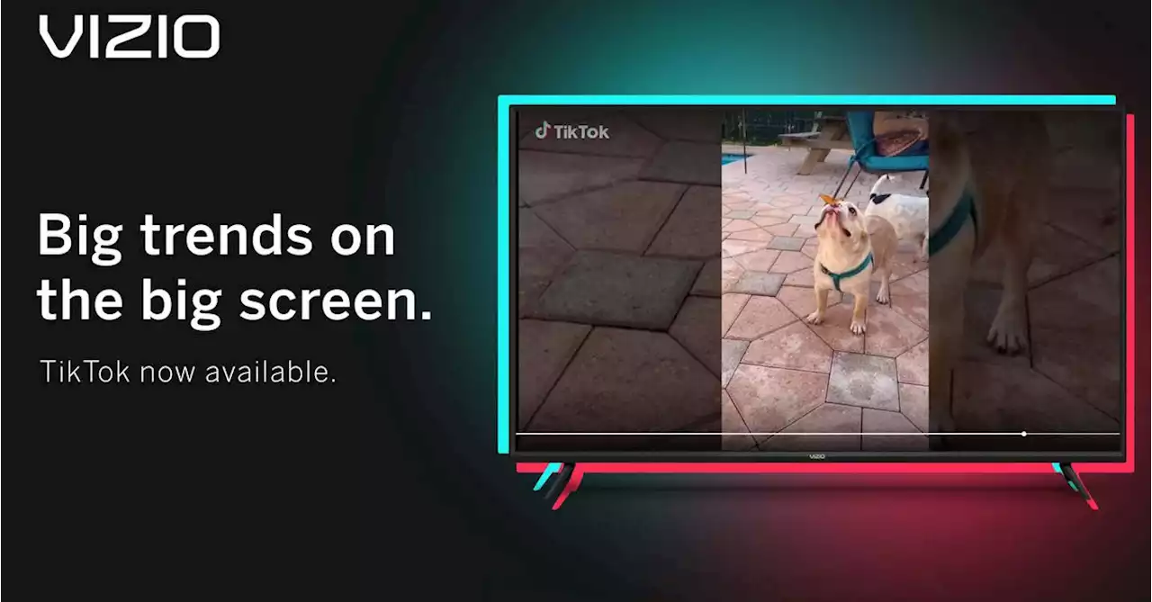 TikTok comes to Vizio TVs