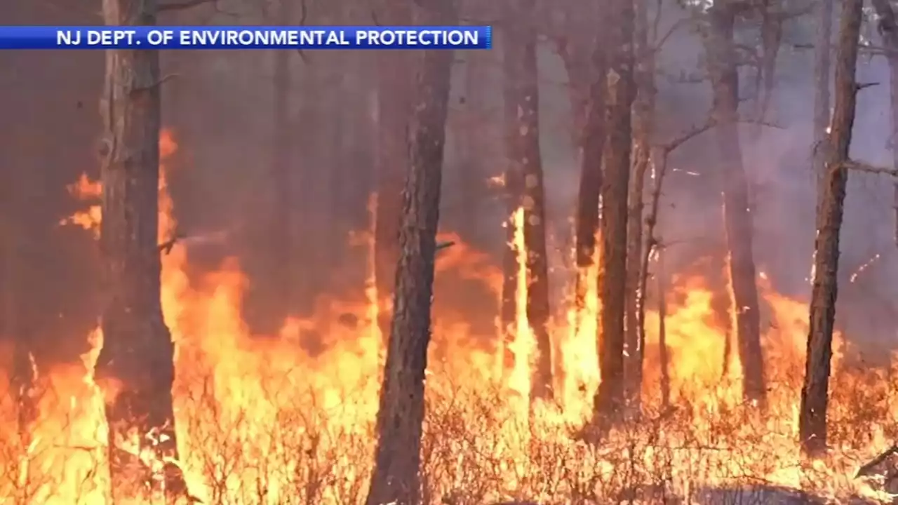 NJ crews battle wildfire in Brendan T. Byrne State Forest