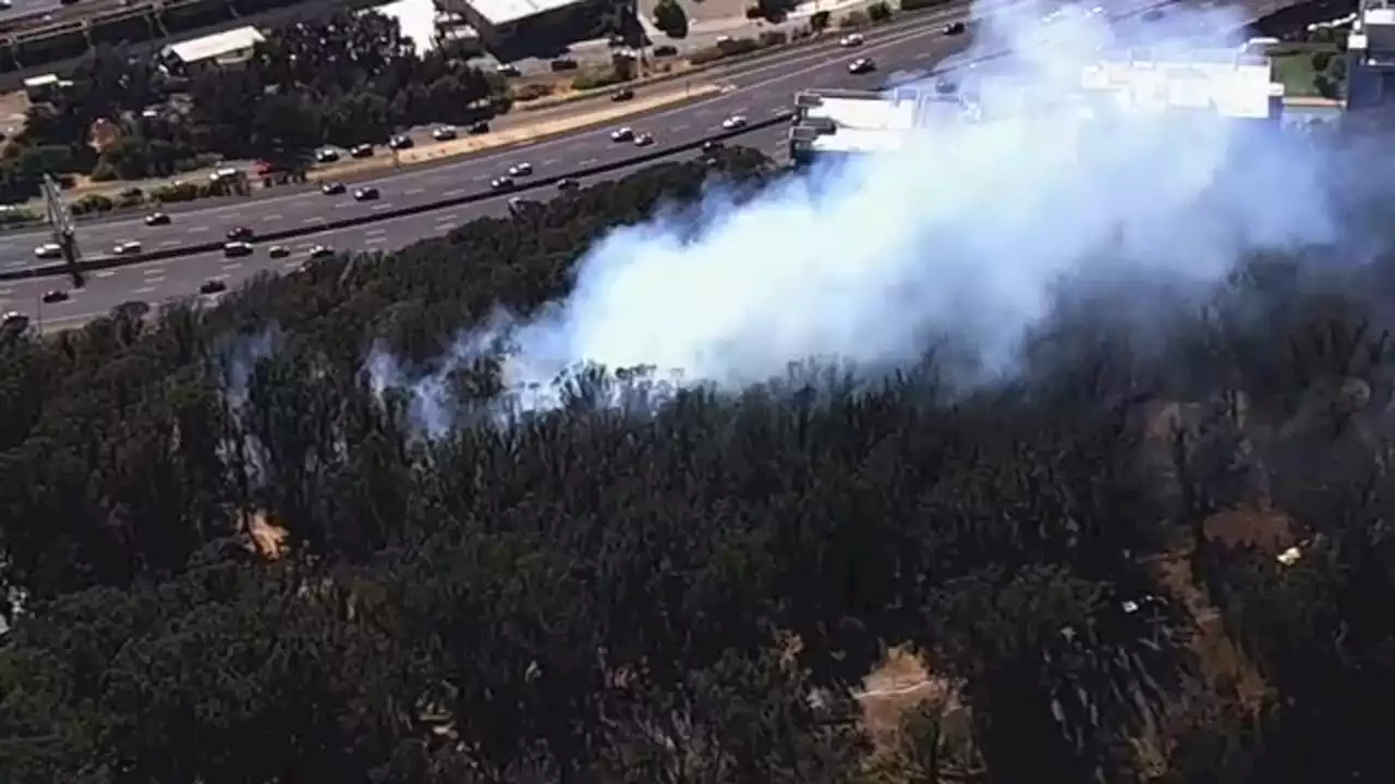 Evacuation orders lifted after vegetation fire burns close to homes in Albany