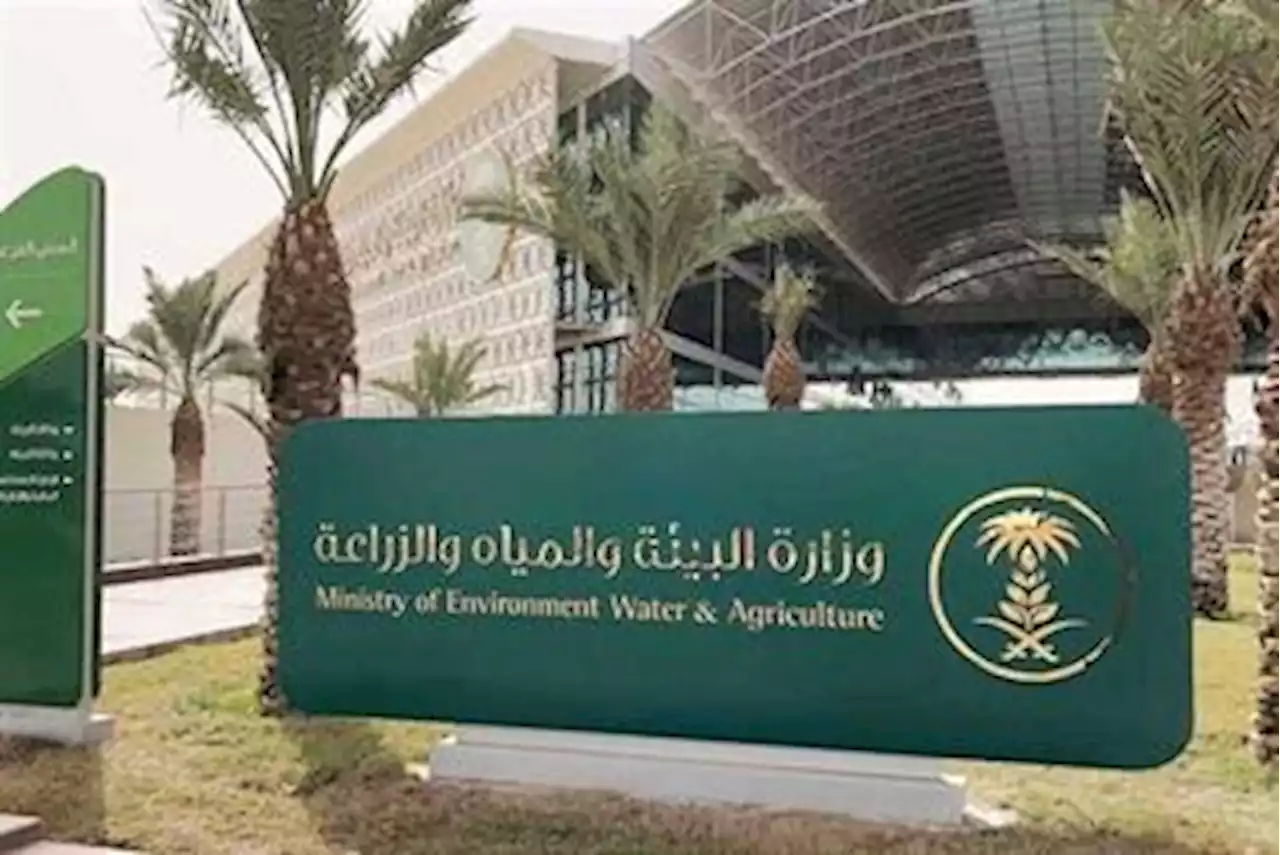 استعداداً لموسم الحج.. البيئة تدشن غرفة عمليات الطوارئ والمراقبة لمسالخ العاصمة المقدسة