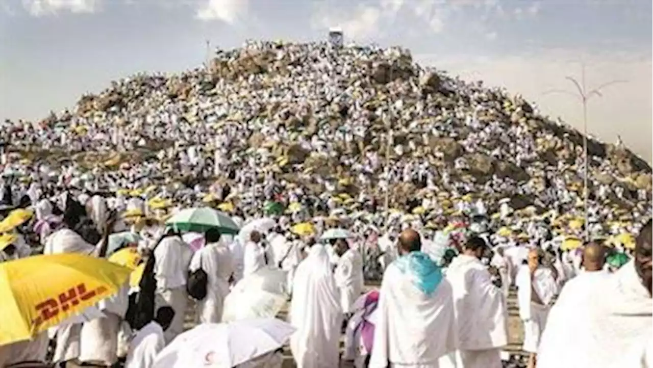 بعثاتُ الحج تُوكلُ مشروعَ المملكة للإفادة من الهدي والأضاحي لإتمام النسك