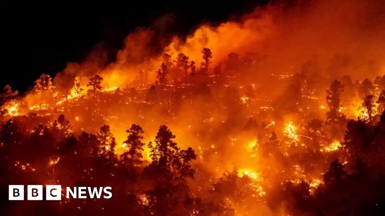 Earliest evidence of wildfire found in Wales