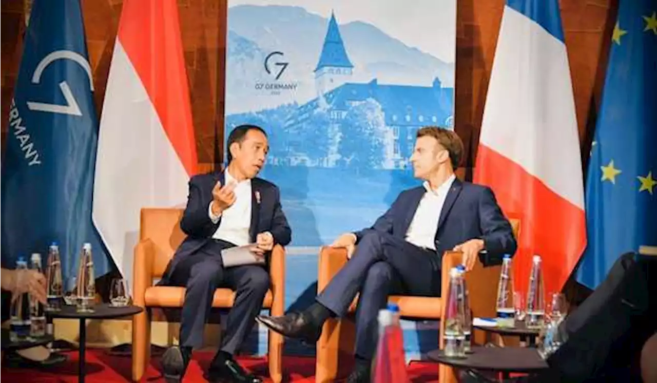 Jokowi dan Emmanuel Macron Bahas Situasi Ukraina