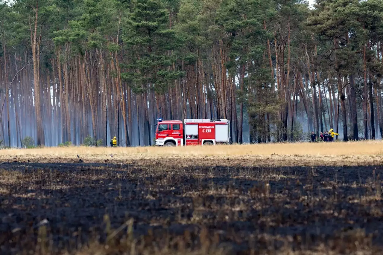 Ostprignitz-Ruppin: Drei Waldbrände und weitere Feuer