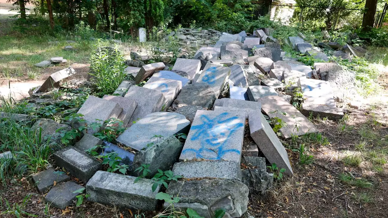 So traurig lässt Berlin-Pankow einen Friedhof sterben