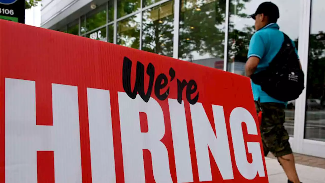 Some tech leaders are turning layoffs, hiring freezes into opportunity