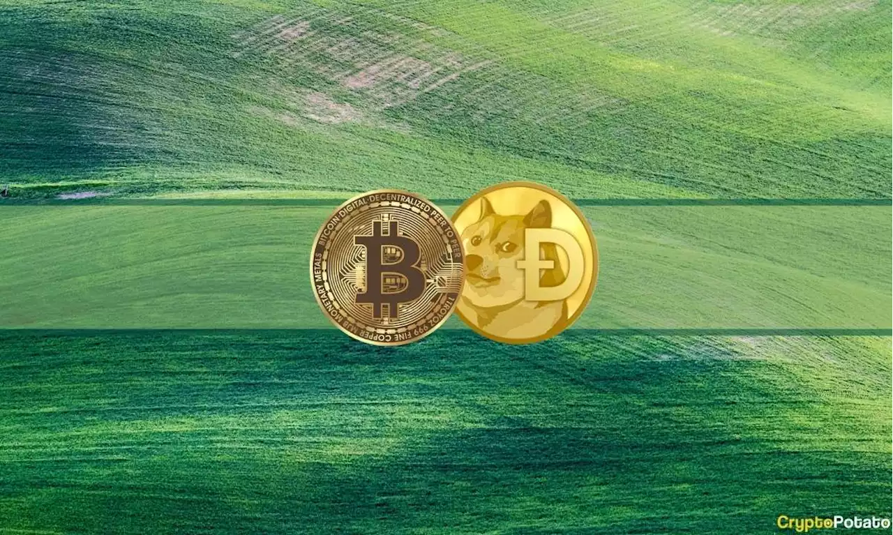 Bitcoin Tapped 10-Day High, Dogecoin Soars 9% (Market Watch)