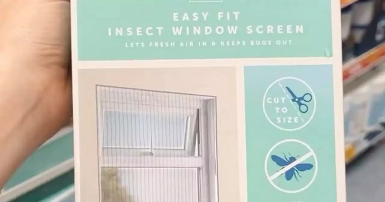 B&M shoppers rave about cheap item which helps keep flies out of home