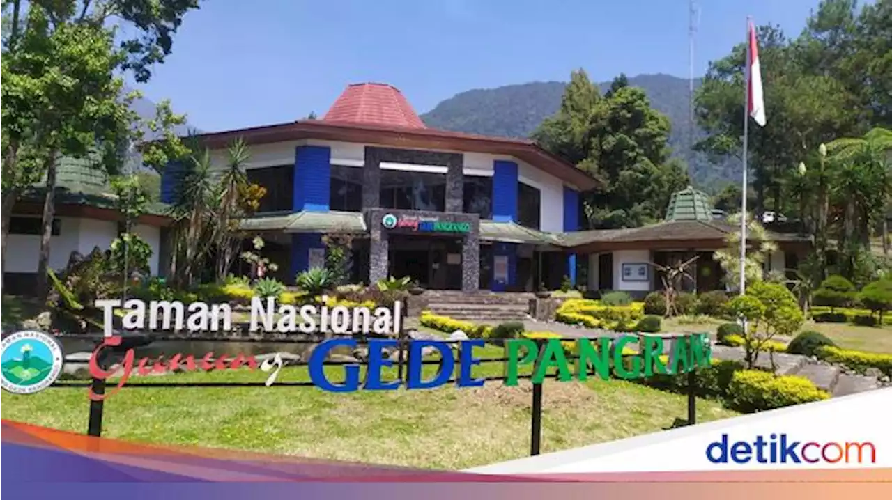 Suhu Ekstrem - Sering Hujan di Gunung Gede, Pendaki Jangan Naik Malam Hari