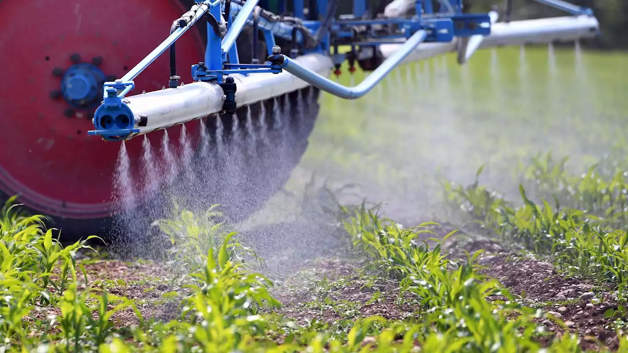 Glyphosat-Streit - Bayer-Konzern scheitert erneut vor Oberstem US-Gericht