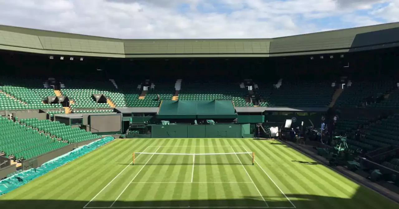 Wimbledon 2022 al via: Djokovic cerca il settimo trionfo, Berrettini deve puntare al titolo. Esclusi i tennisti russi - Il Fatto Quotidiano