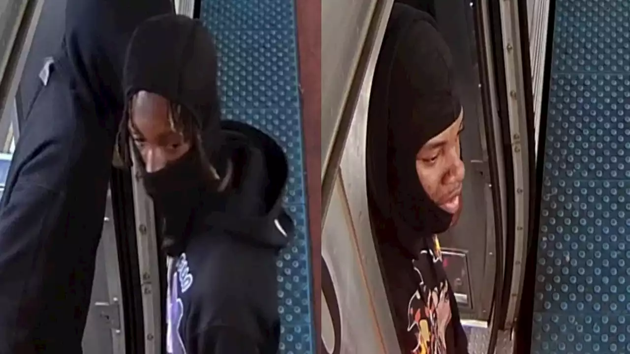 Pair sought in armed robbery on CTA Red Line