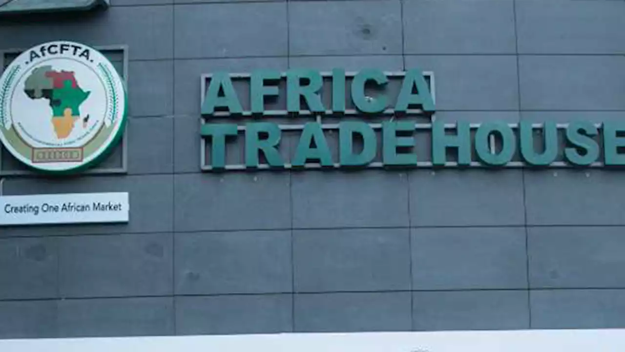Experts emphasize private sector’s role in unlocking AfCFTA benefits | The Guardian Nigeria News - Nigeria and World News