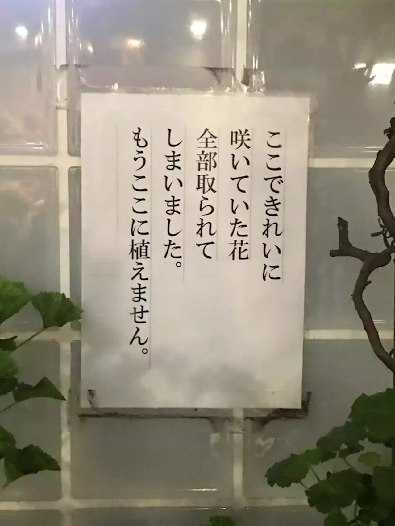 「もうここに植えません」花壇の張り紙に「いいね！」3万件 「ただただ悲しい」「言葉が出ません」 - トピックス｜Infoseekニュース