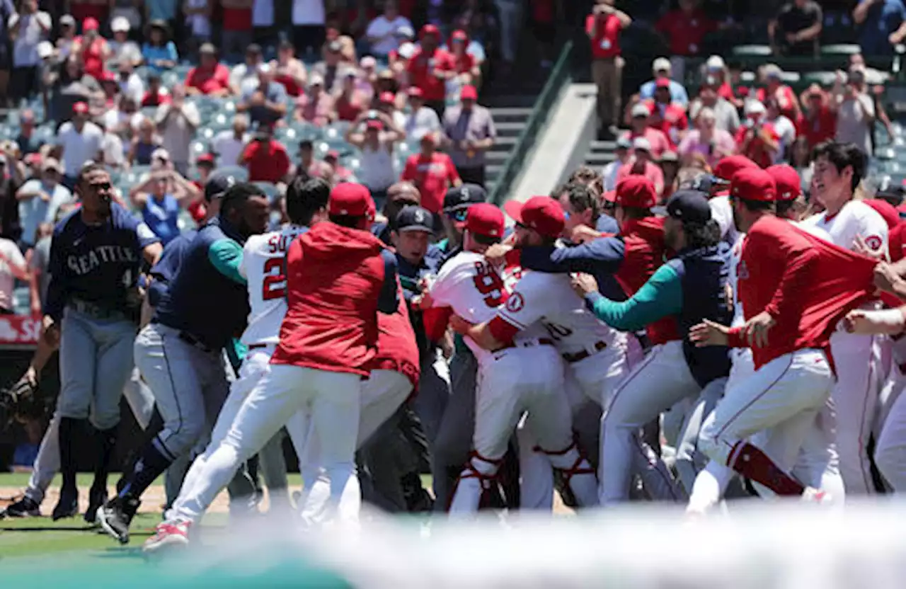 エンゼルスとマリナーズ、大乱闘が発生！大谷翔平も途中参加しコーチらをなだめるシーンも - ＭＬＢ : 日刊スポーツ