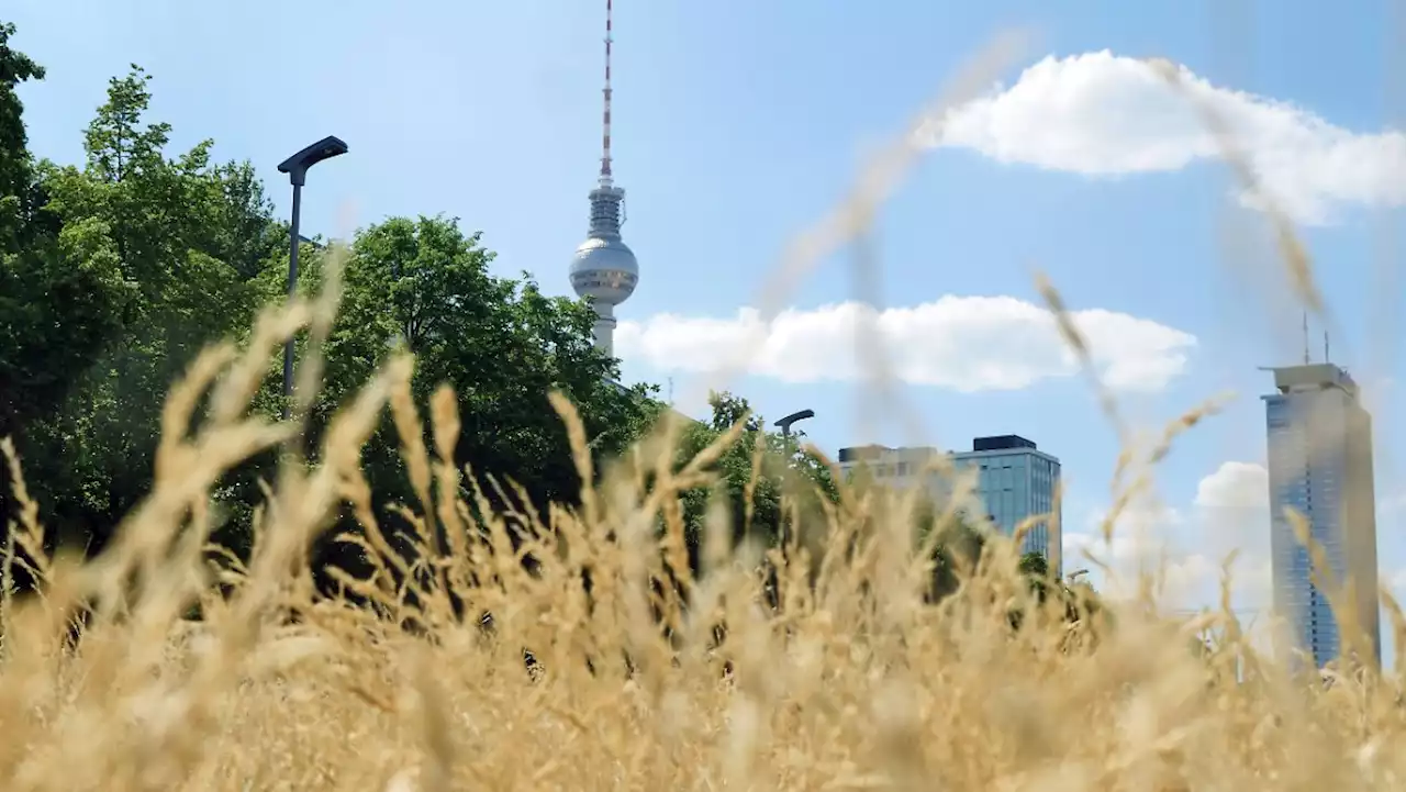 Osten Deutschlands ächzt unter Hitze