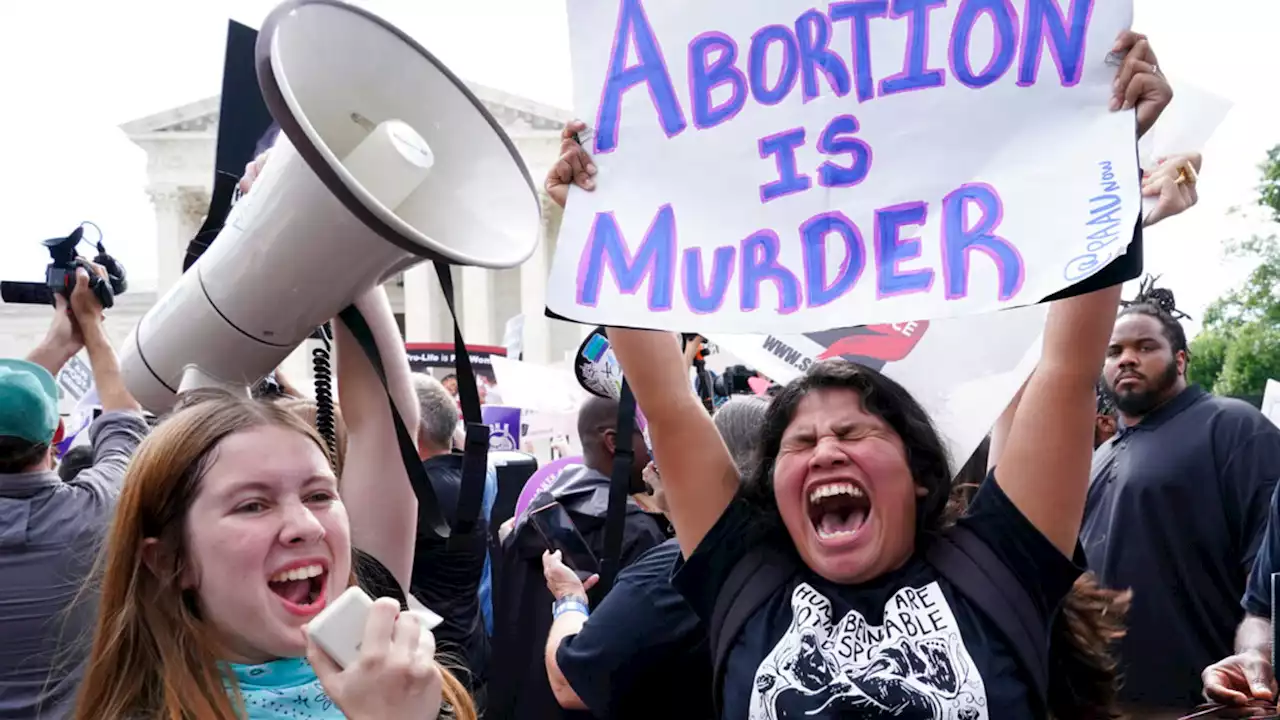 Usa, tribunale ferma il divieto all'aborto in Louisiana