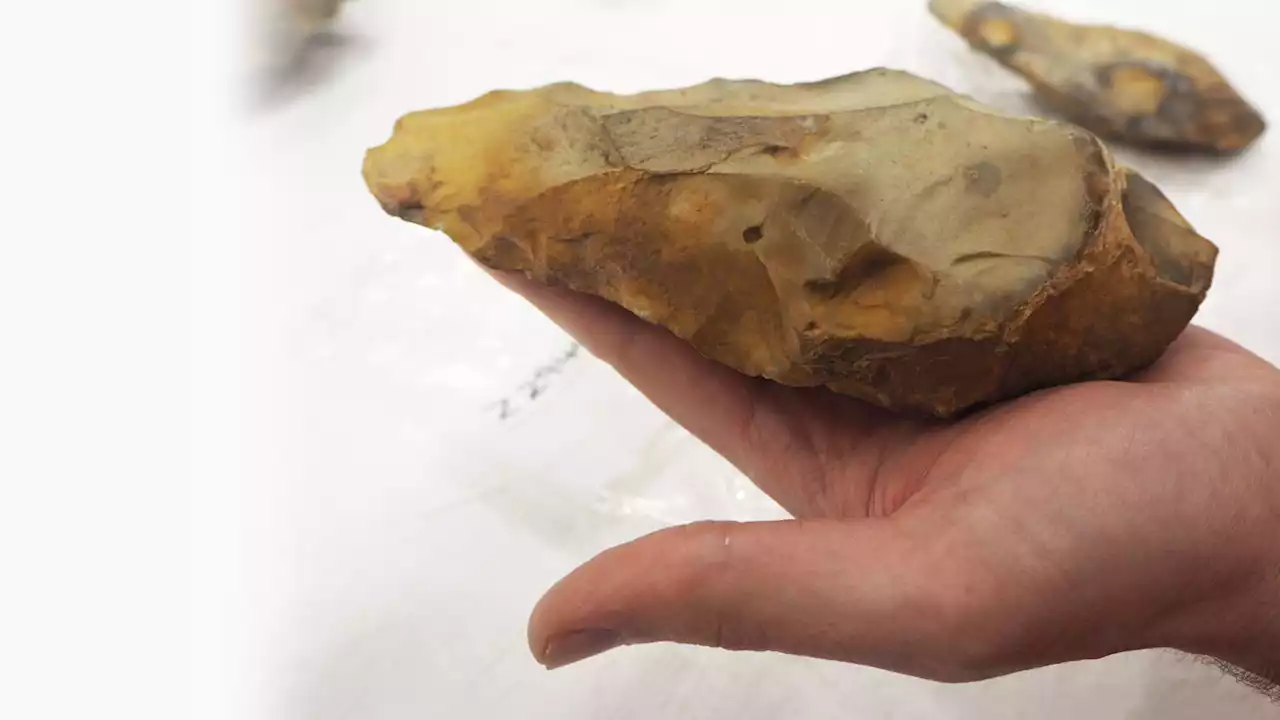 Britons’ tools from 560,000 years ago have emerged from gravel pits