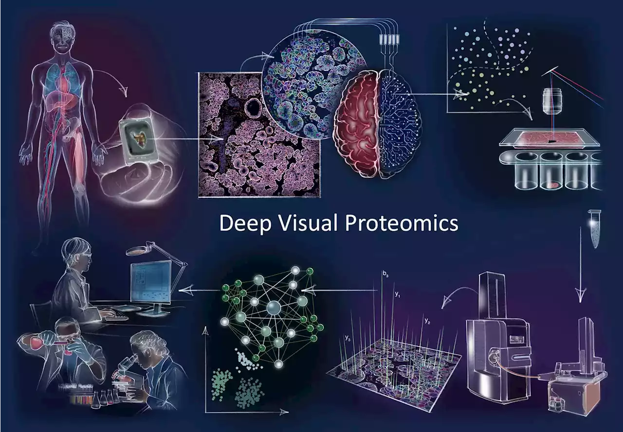 New “Game Changing” Method Exposes Cancer Vulnerabilities