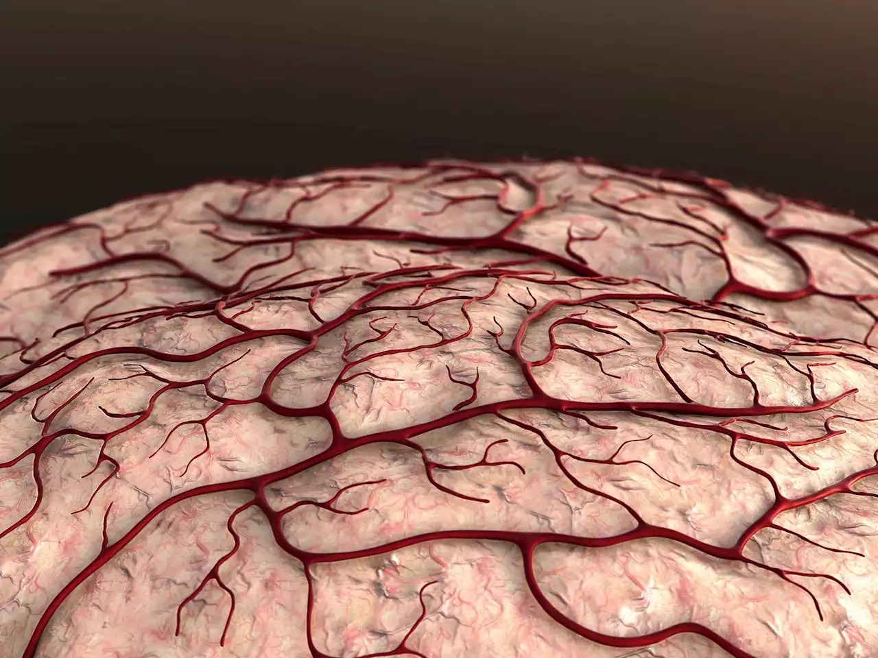 Stopping Memory Loss: Blood Vessel Breakthrough Major Step Towards Alzheimer’s Treatment