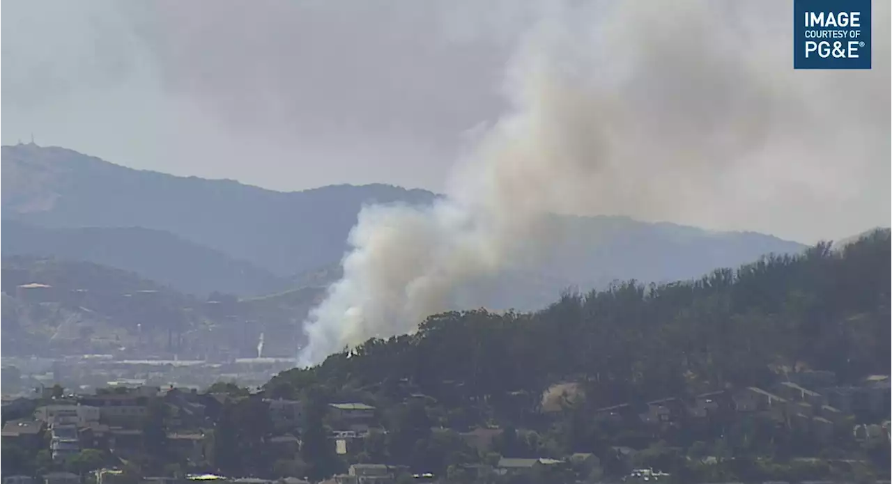 Evacuations in Albany are lifted after grass fire breaks out