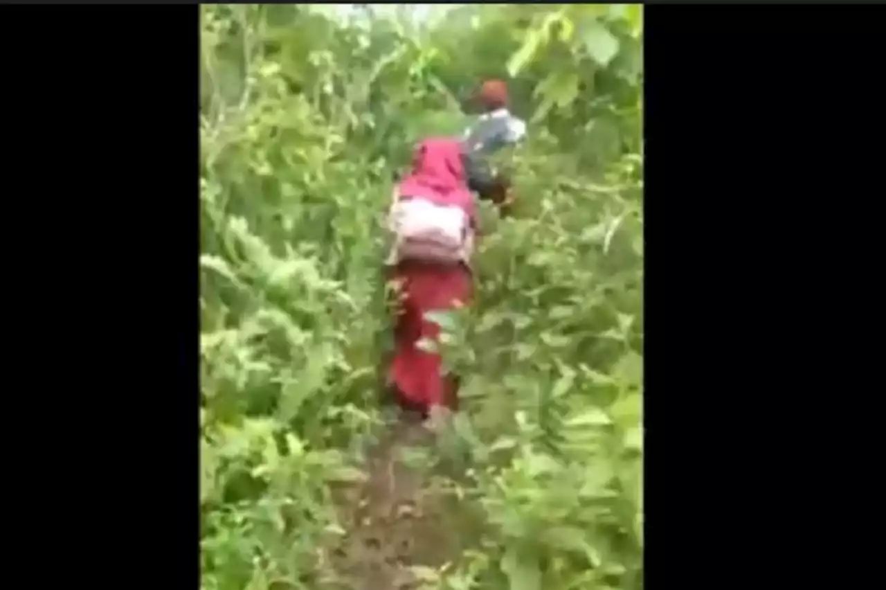 2 Pelajar SD di Bone Berjalan Kaki 7 Km Menyusuri Hutan Belantara untuk ke Sekolah