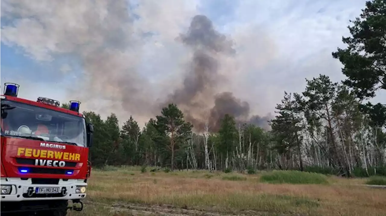 Feuer auf Ex-Truppenübungsplatz bei Jüterbog ausgebrochen – Bundeswehr hilft in Südbrandenburg