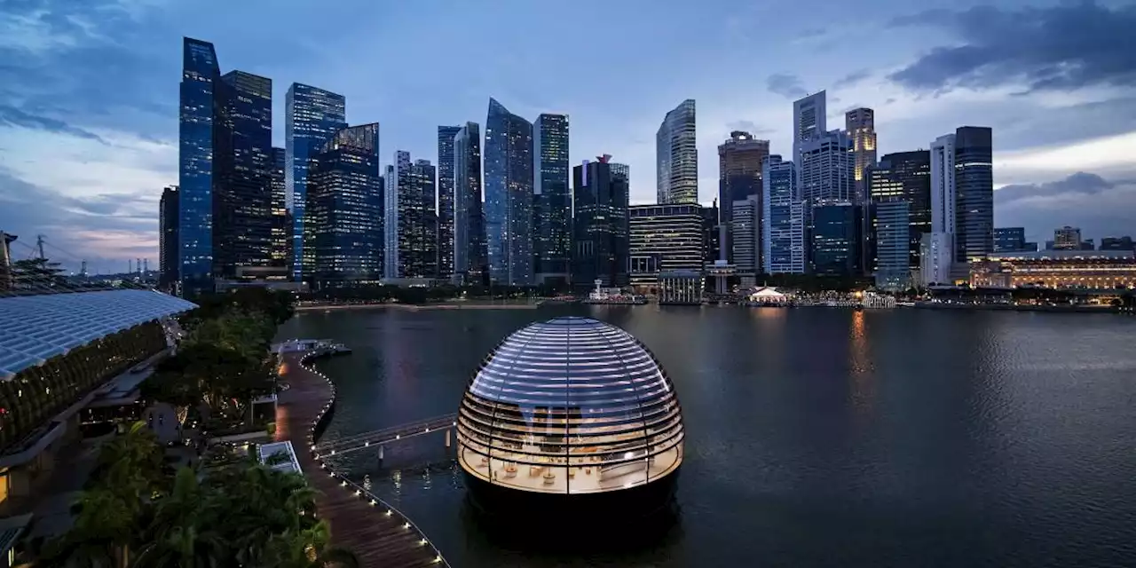 Singapore warns of ‘brutal, unrelentingly hard’ crypto regs