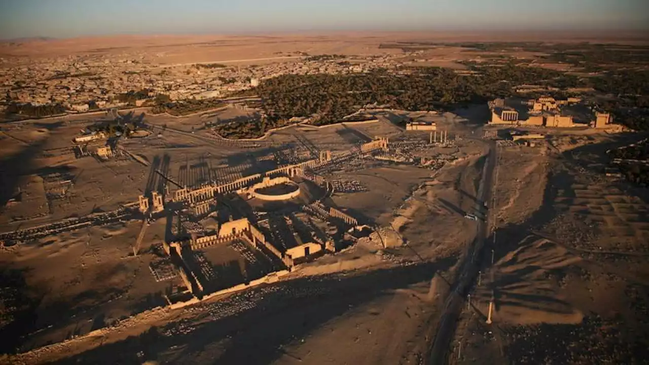 42 عاماً على مجزرة تدمر.. عندما قتل نظام الأسد مئات السجناء المدنيين