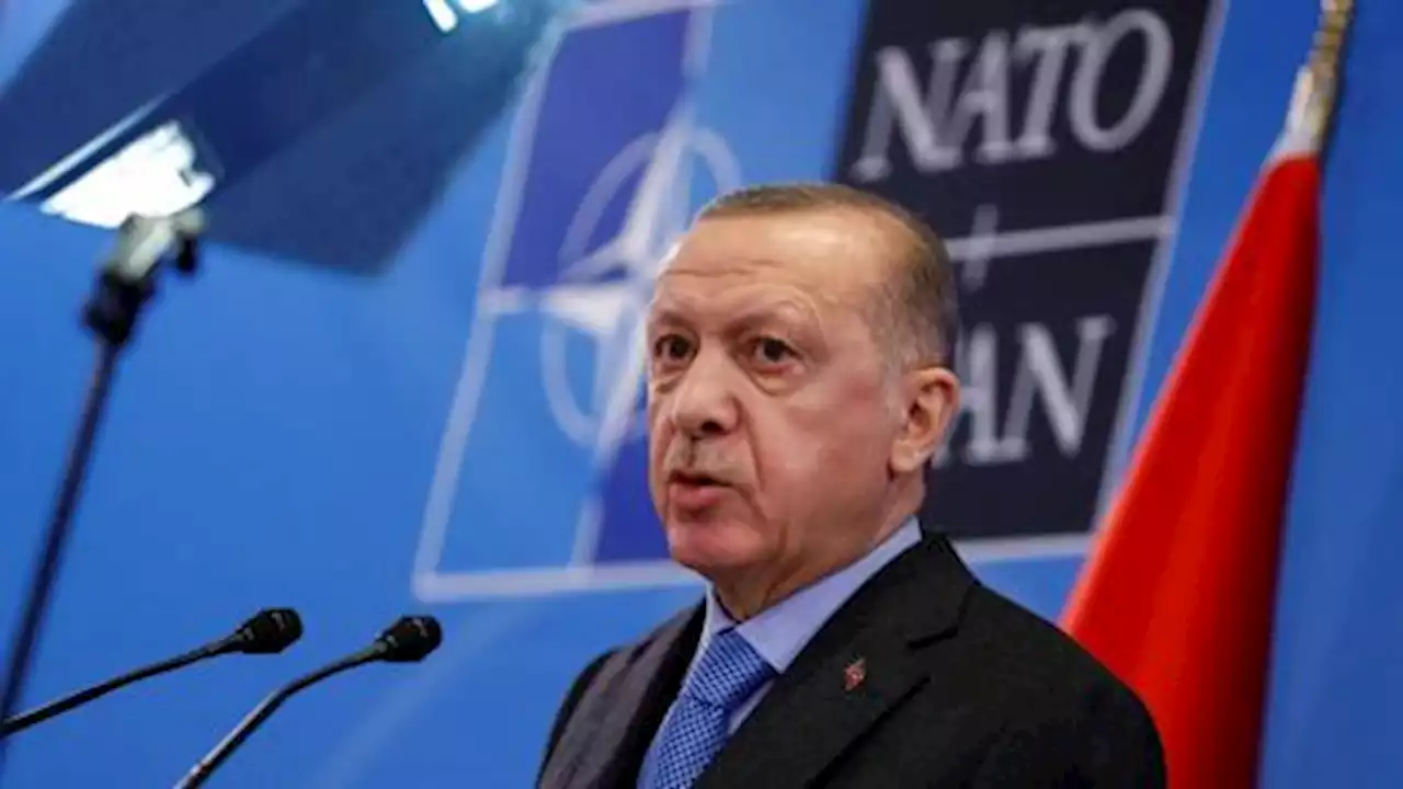 Erdogan to meet with heads of Sweden, Finland, NATO in Spain summit