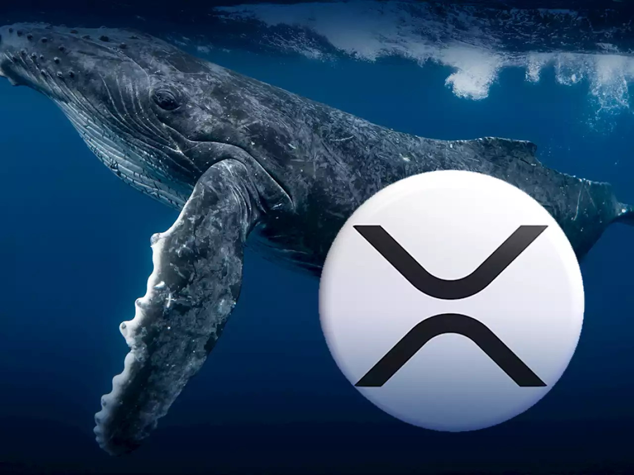 18 Million Worth of XRP Now Controlled by Largest BSC Whales: Details