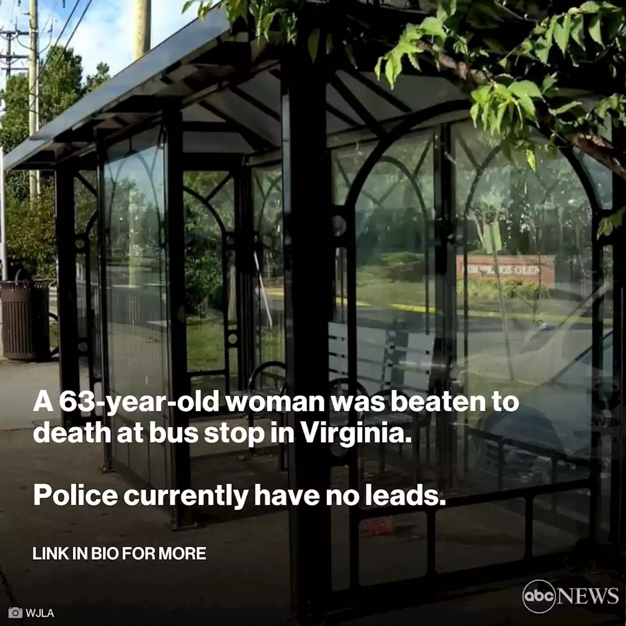 63-year-old woman beaten to death at bus stop, police say