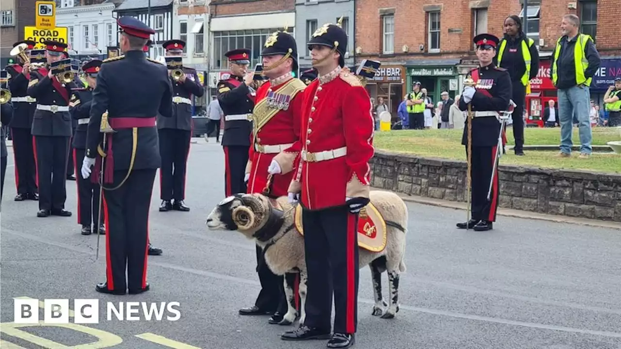 Ram mascot leads Mercian Regiment parade through Derby