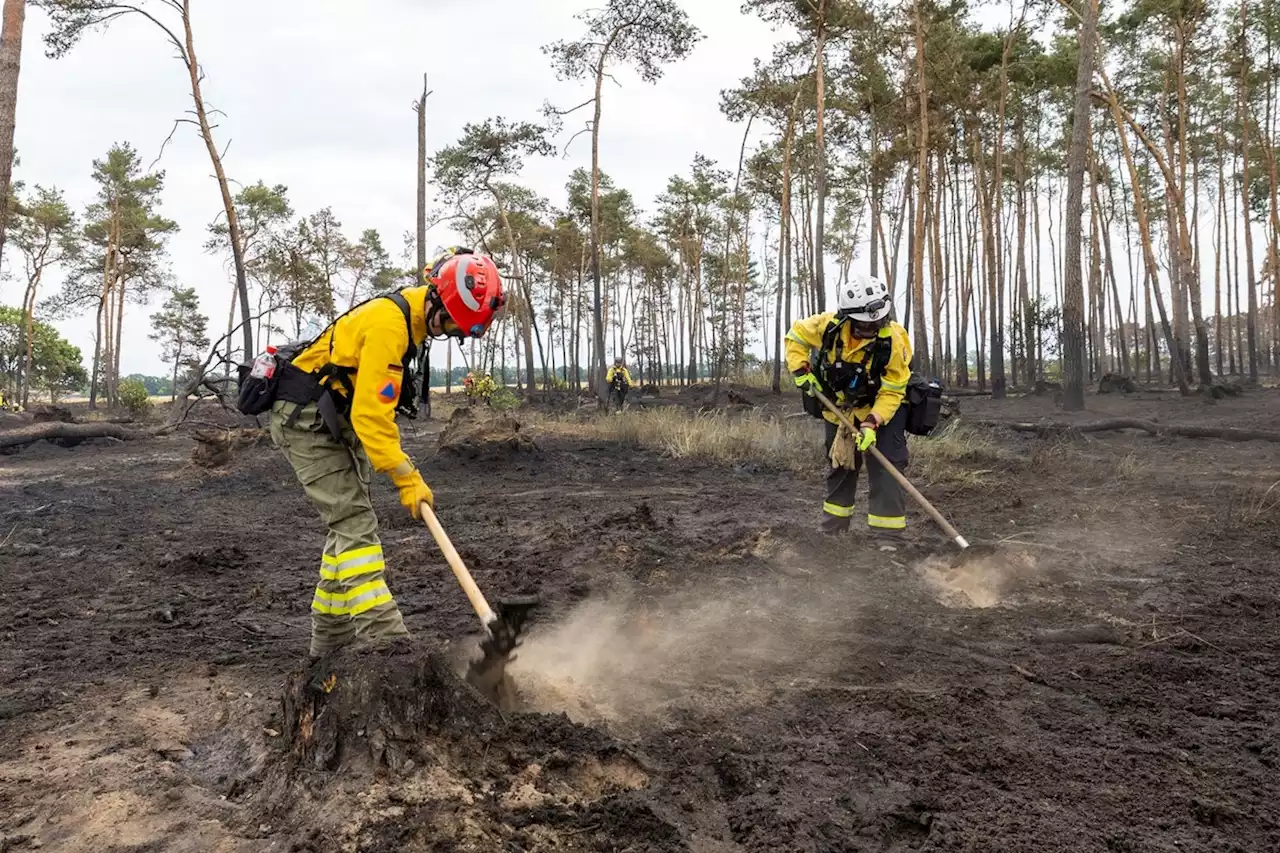 Sächsisch-brandenburgische Grenze: Gefahr bei Waldbrand noch nicht gebannt