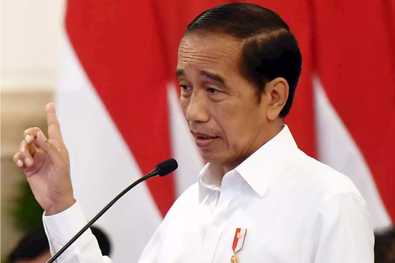 Pemekaran Provinsi Papua Sejalan Dengan Keinginan Presiden Jokowi | Kabar24 - Bisnis.com