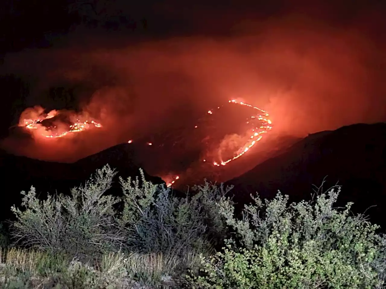 Halligan Fire spreads to 100 acres, 0% containment northwest of Fort Collins; no threats reported