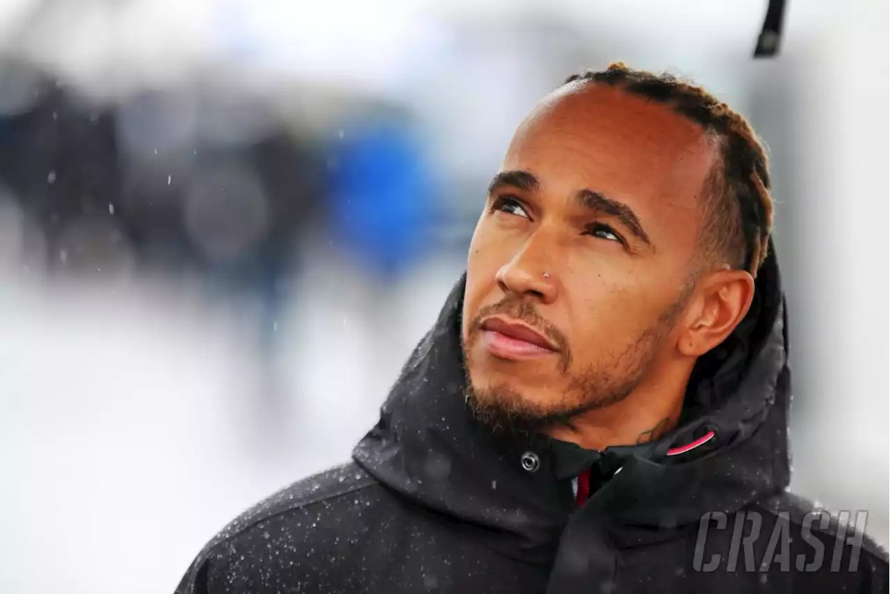 Lewis Hamilton called a racist name by Nelson Piquet