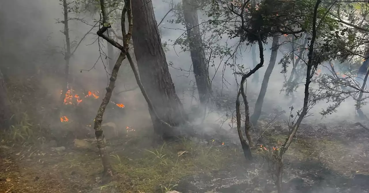 Wildfire rages for 10 hours as emergency services battle to control the blaze