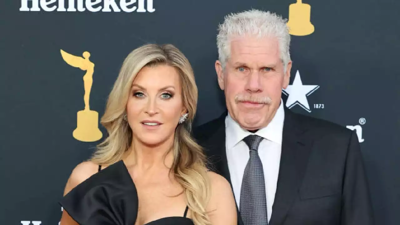 Ron Perlman Marries 'StartUp' Co-Star Allison Dunbar in Italy