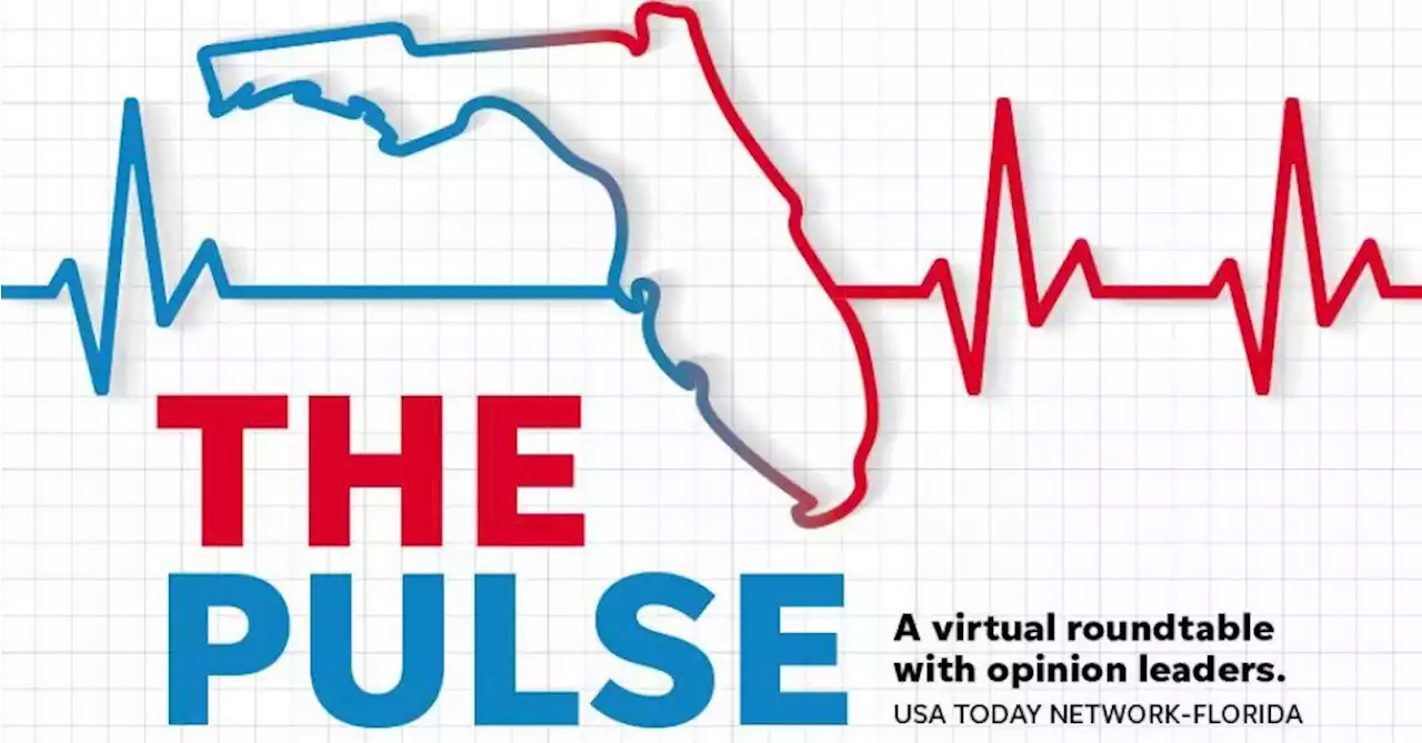 Florida Pulse: Experts discuss impact of new Florida laws effective July 1