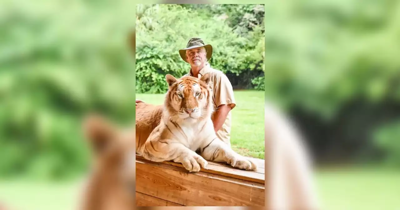 'Tiger King' star Doc Antle set to be released on bond